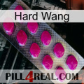 Hard Wang 09